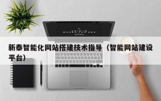 定安新泰智能化网站搭建技术指导（智能网站建设平台）